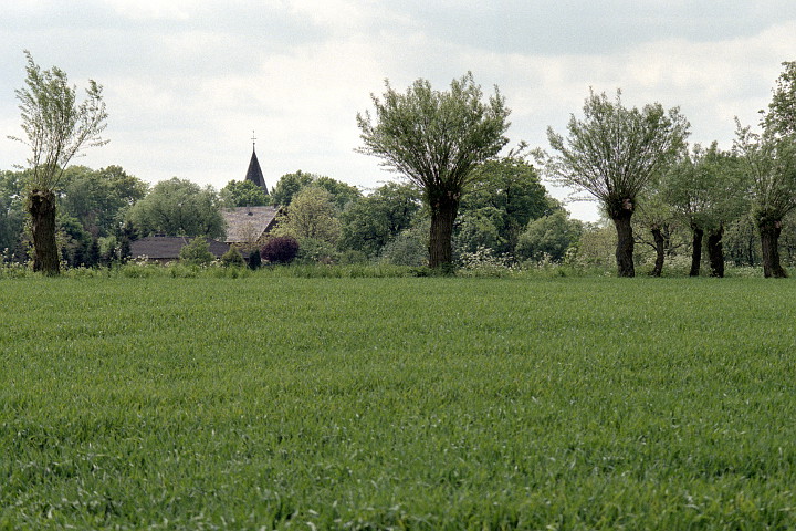 Meiningsen von Soest aus im nachmittäglichen Gegenlicht