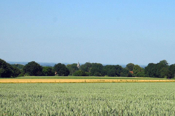 grünes Meiningsen