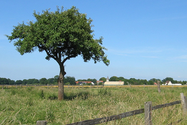 Meiningsen von Epsingsen aus gesehen