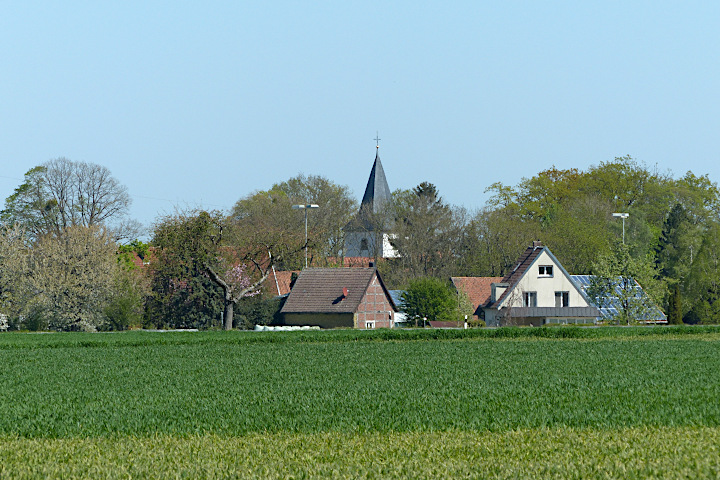 Meiningsen aus Süd-West-West