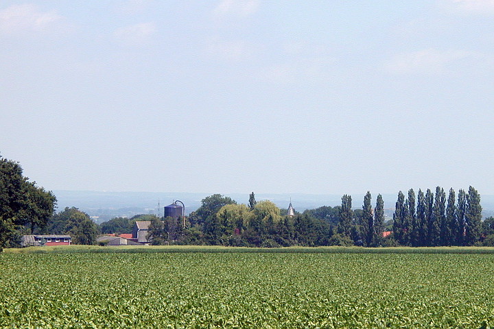 Meiningsen mit Siloblick