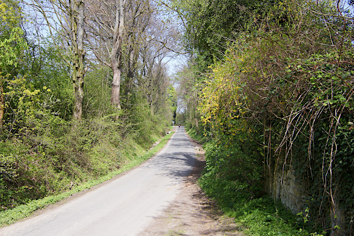 alter Hohlweg - Springstraße