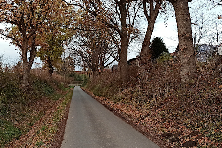 der Hohlweg im Spätherbst