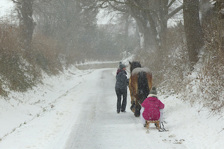 unser Hohlweg im Winter