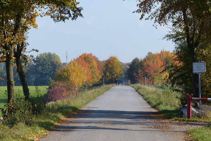 Der Damm im Herbst