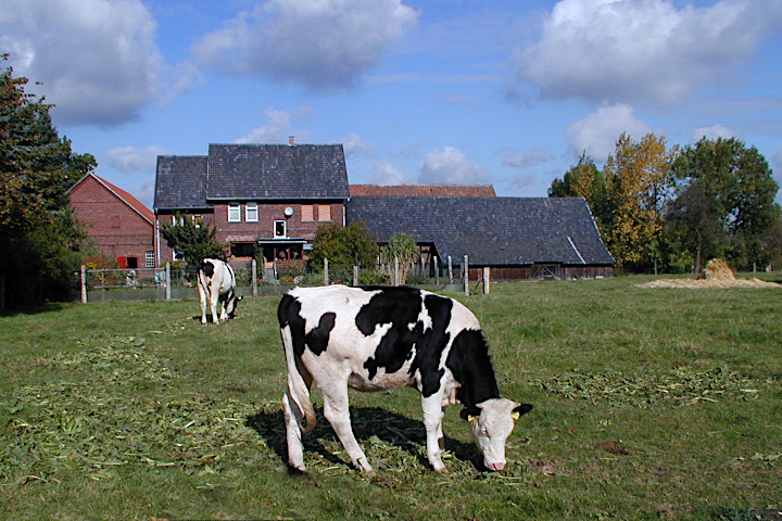 Urlaub auf dem Bauernhof