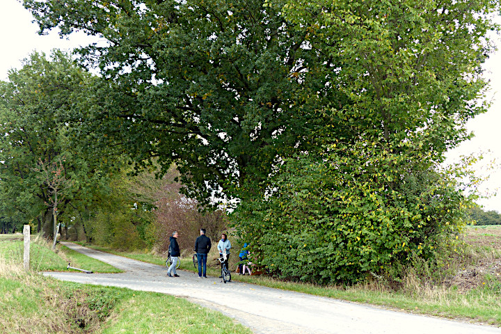 der Sauerweg