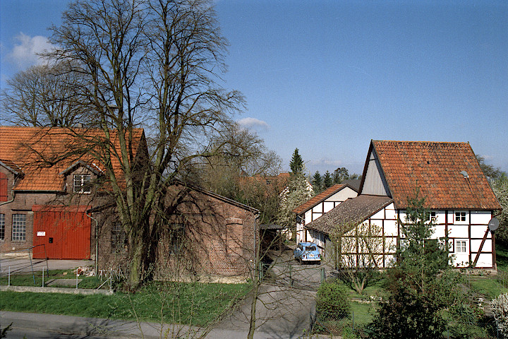 die große Linde vor der Schmiede