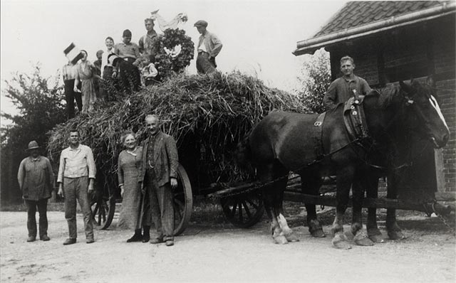 Harkemei in Meiningsen