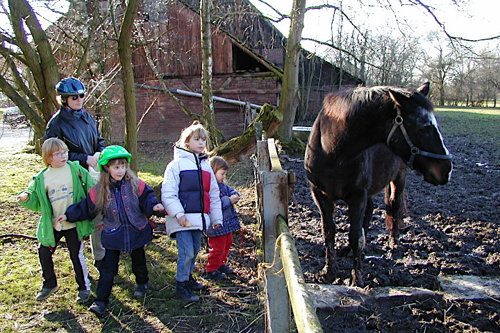 Kinder auf Hof Blumendeller