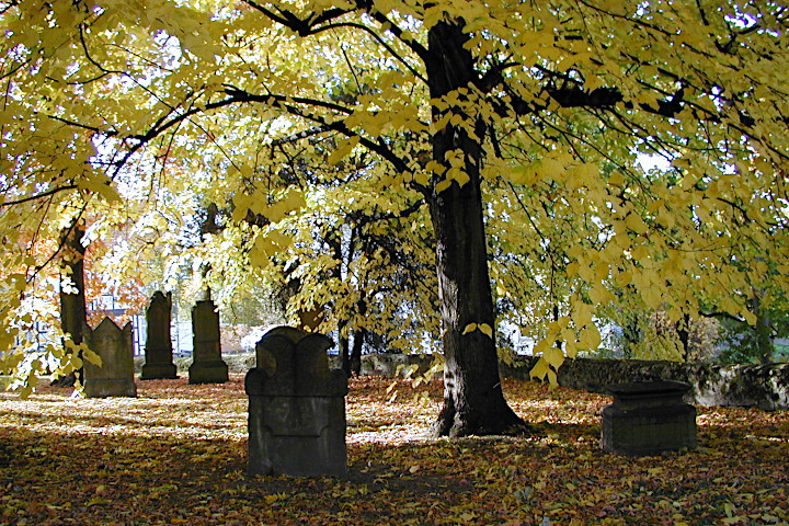 alter Friedhof an der Kirche